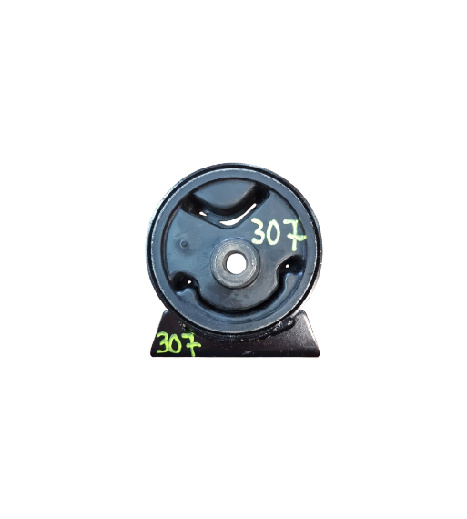 Soporte motor 307