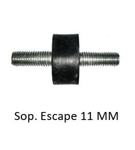 Sap-01