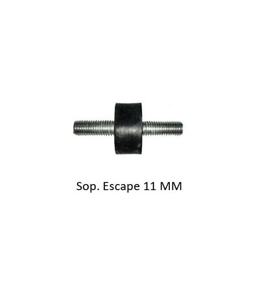 Sap-01
