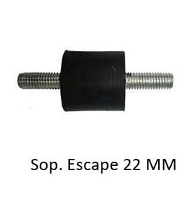 Sap-02
