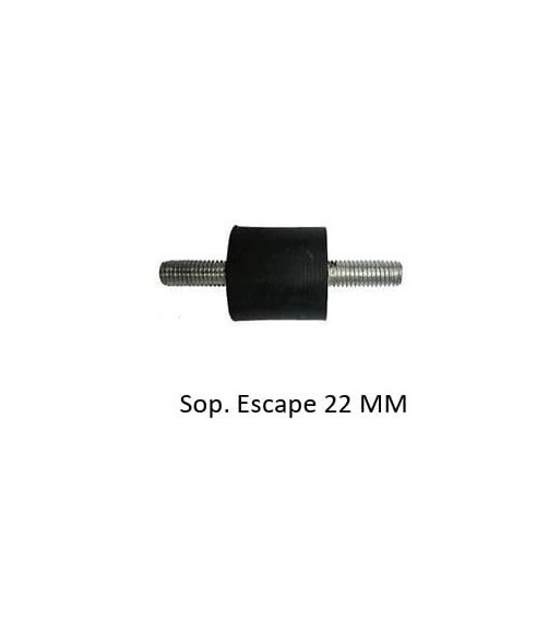 Sap-02