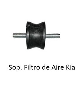 Sap-04