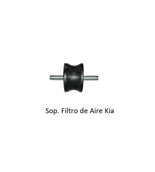 Sap-04