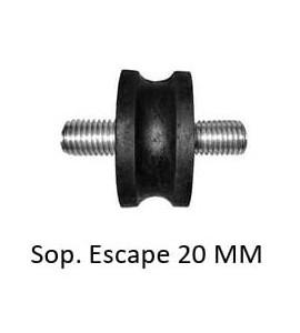 Sap-06