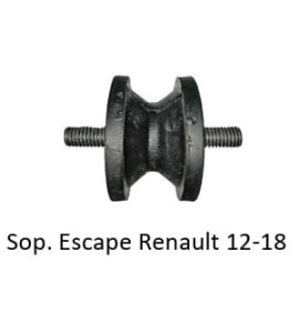 Sap-09