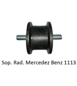 Sap-13
