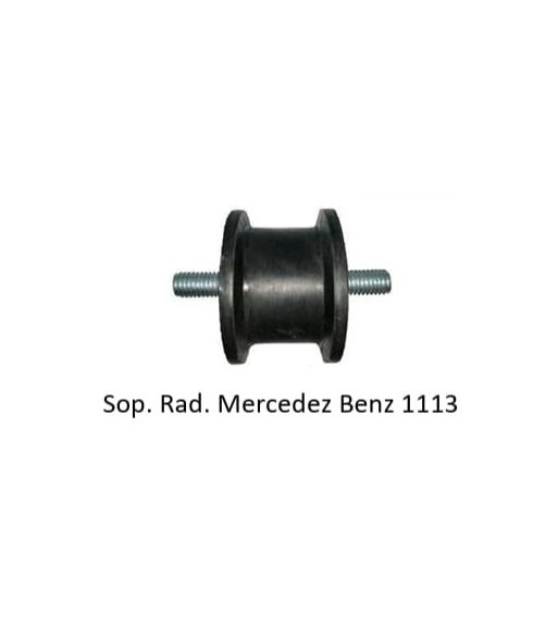 Sap-13