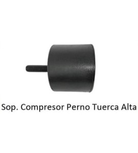 Sap-29